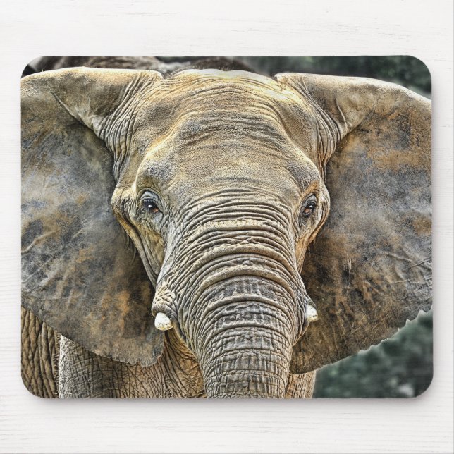 Elefant-Afrikaner alle Ohren Mousepad (Vorne)