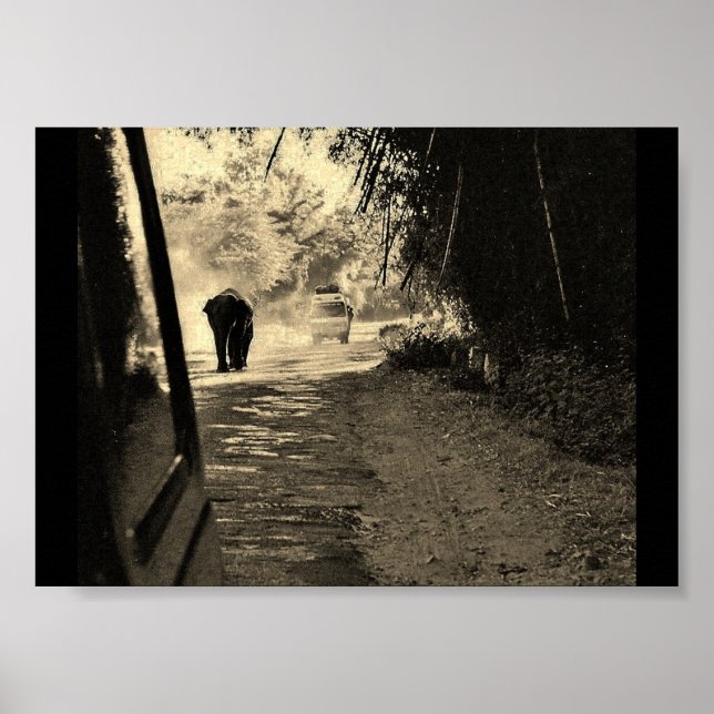 Elefant auf einem Spaziergang Poster (Vorne)