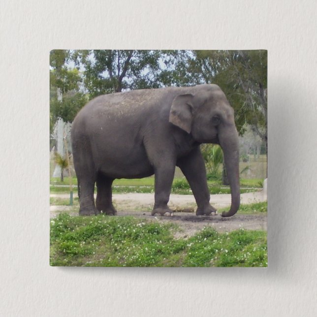 Elefant auf sanftem Waldweg Button (Vorderseite)