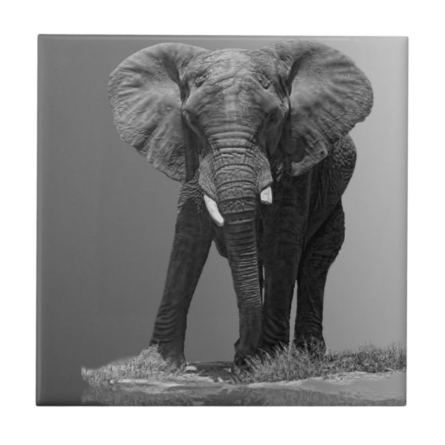 ELEFANT AUF STEIGUNG FLIESE (Vorderseite)