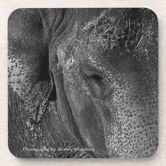 Elefant-Augen-GetränkeUntersetzer Getränkeuntersetzer (Vorderseite)