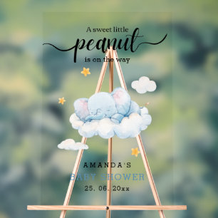 Elefant-Baby-Party, Baby-Party für einen Jungen Acrylschild