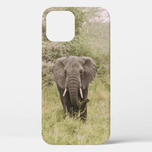 ELEFANT BEOBACHTET EINEN TOUR-WAGEN Case-Mate iPhone HÜLLE