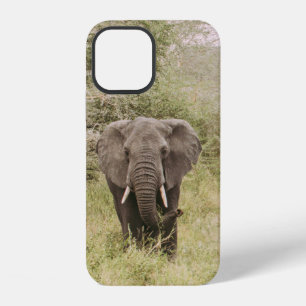 ELEFANT BEOBACHTET EINEN TOUR-WAGEN iPhone 12 HÜLLE