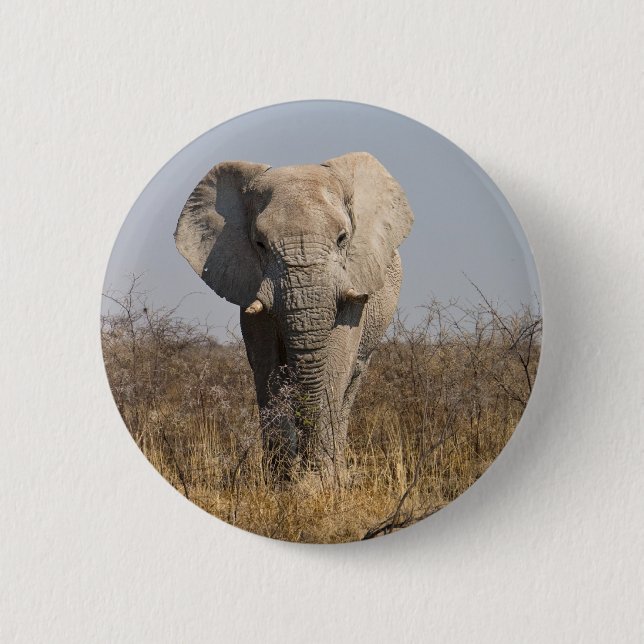 Elefant Button (Vorderseite)