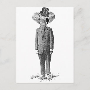 Elefant Dandy Postkarte