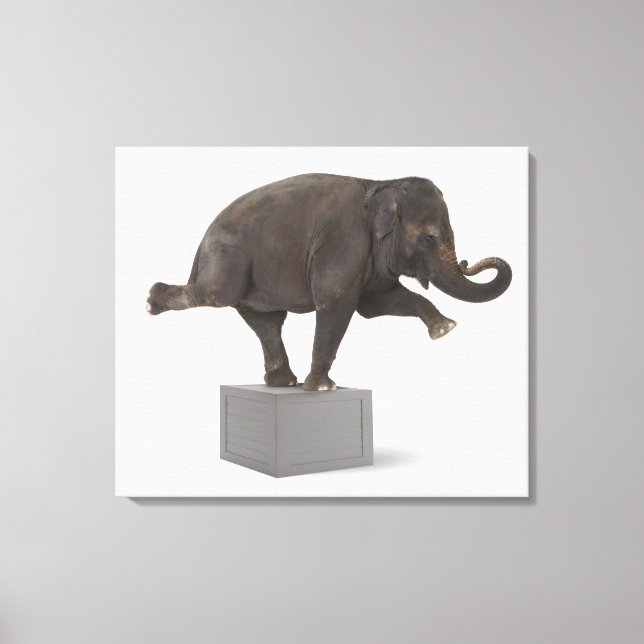 Elefant darstellend Trick on Box Leinwanddruck (Vorderseite)
