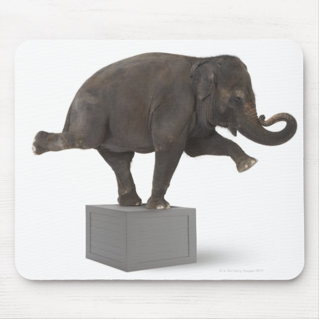 Elefant darstellend Trick on Box Mousepad (Vorne)