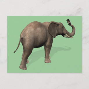 Elefant, der eine Selfie einnimmt Postkarte