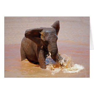 Elefant, der mit Wasser spielt