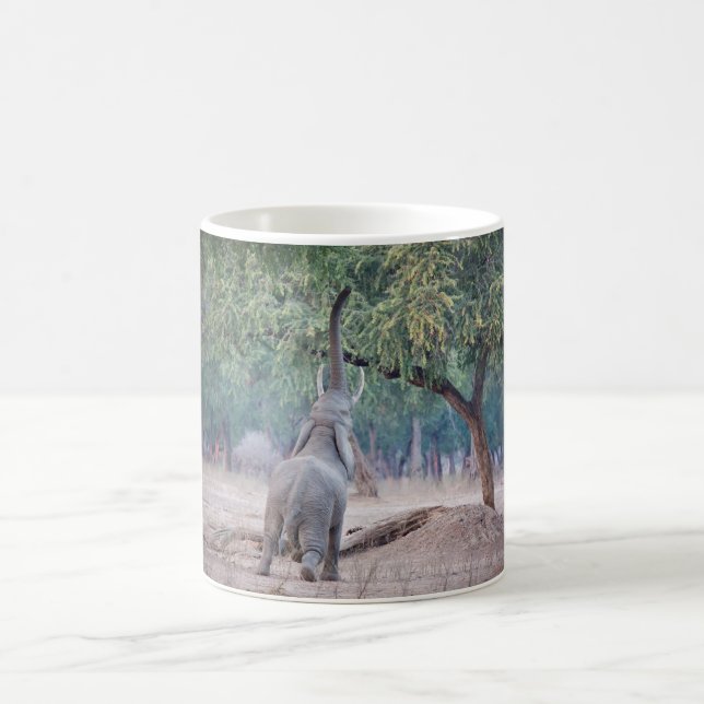 Elefant, der nach Acacia-Baum strebt Tasse (Mittel)