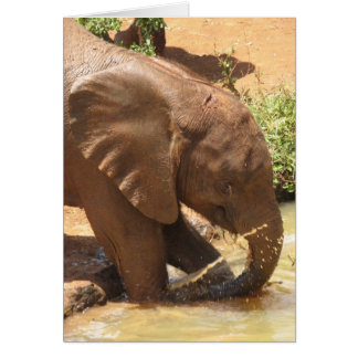 Elefant des Babys im Teich