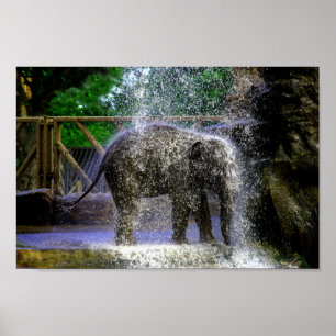 Elefant eines Babys spielt im Wasserfall Poster