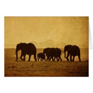 Elefant-Familie