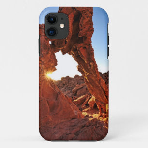 Elefant-Felsen im Tal des Feuers iPhone 11 Hülle
