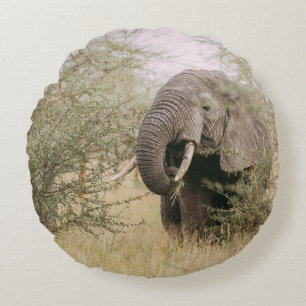 ELEFANT FRISST VON EINEM BAUM RUNDES KISSEN