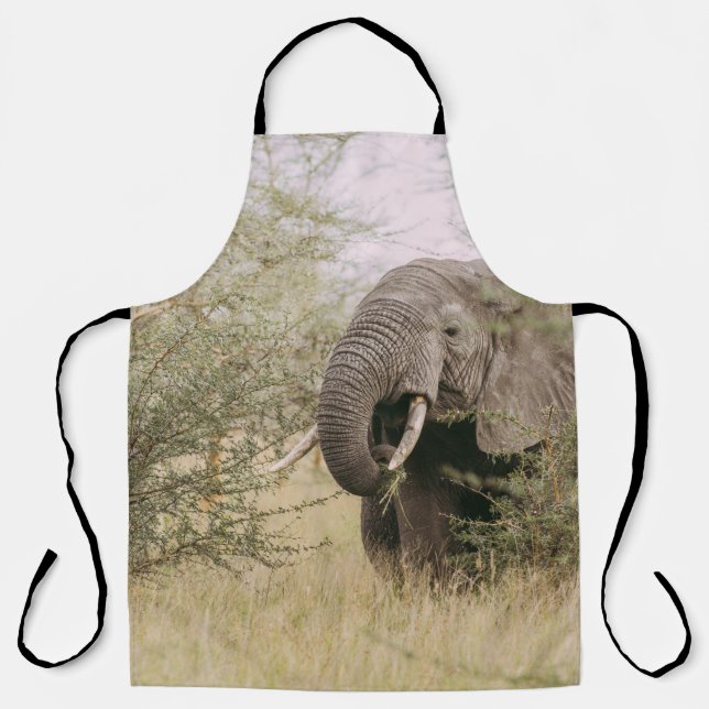 ELEFANT FRISST VON EINEM BAUM SCHÜRZE (Vorderseite)