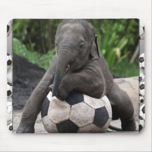 Elefant-Fußball Mousepad