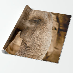 ELEFANT GESCHENKPAPIER