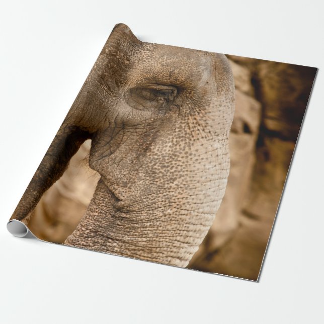 ELEFANT GESCHENKPAPIER (Ungerollt)