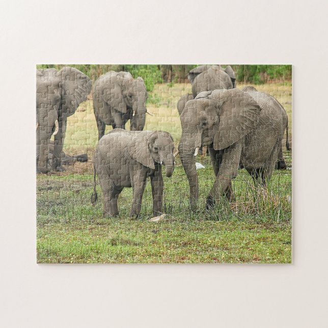 Elefant Herd Foto Puzzle (Horizontal)