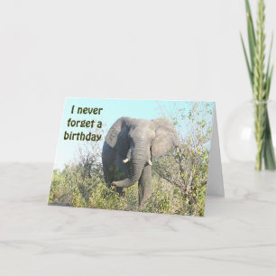 ELEFANT "ich vergesse nie ein Geburtstag" /BELATED Karte