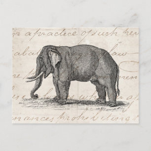 Elefant Illustration aus dem 19. Jahrhundert - Ele Postkarte