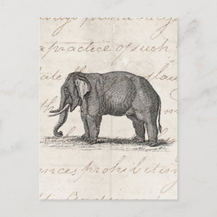 Elefant Illustration aus dem 19. Jahrhundert - Ele Postkarte