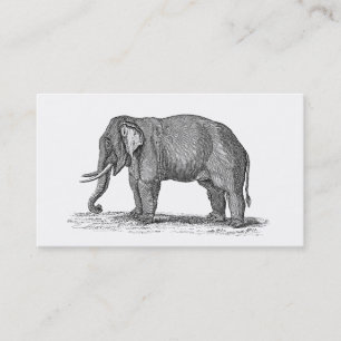 Elefant Illustration aus dem 19. Jahrhundert - Ele Visitenkarte
