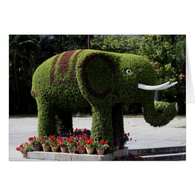 Elefant im chinesischen Garten (Vorderseite (Horizontal))