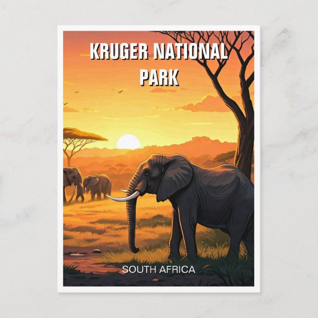 Elefant im Krüger Nationalpark Südafrika Postkarte (Vorderseite)