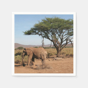 Elefant im Nationalreservat Samburu Serviette