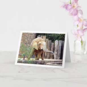 Elefant im Park Karte