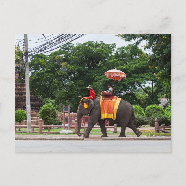 Elefant in Ayutthaya Thailand Postkarte (Vorderseite)