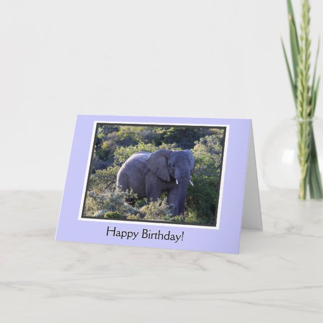 Elefant in Bäumen glücklich Geburtstag Karte (Vorderseite)