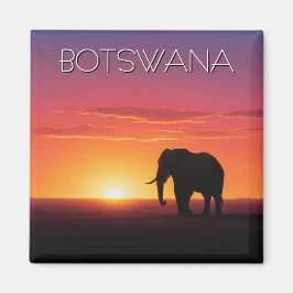 Elefant in Botswana Magnet
