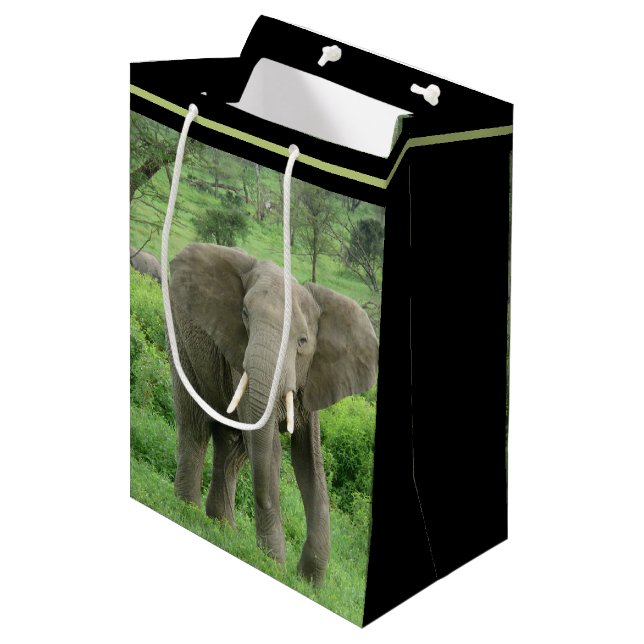 Elefant in der Nähe von Ndutu Mittlere Geschenktüte (Vorderseite Schrägansicht)
