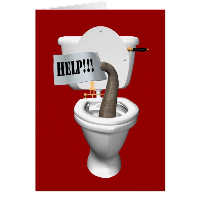 Elefant in der Toilette festgehalten (Vorne)