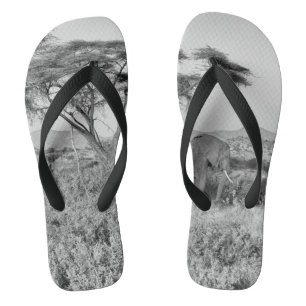 Elefant in Samburu Flip Flops