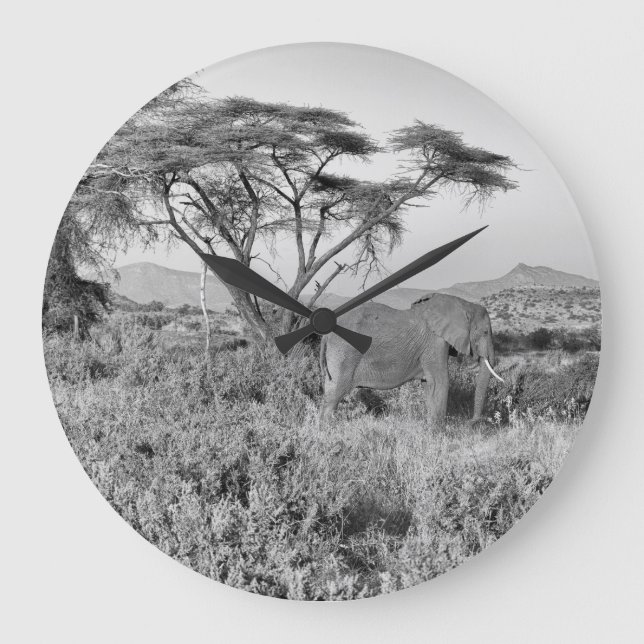 Elefant in Samburu Große Wanduhr (Vorderseite)