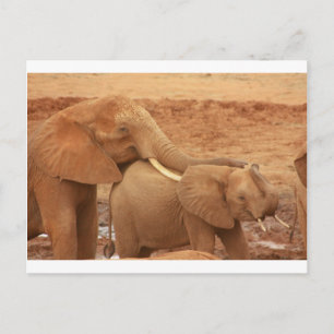 Elefant individuell anpassen DIY-Jubiläen Postkarte