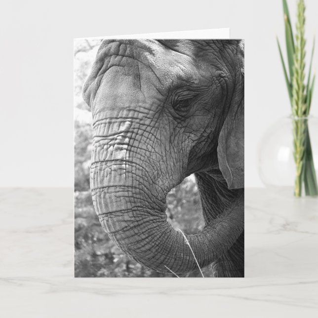 Elefant Karte (Vorderseite)