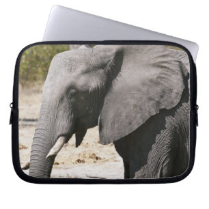 Elefant (Loxodonta africana), Savute-Kanal Laptopschutzhülle