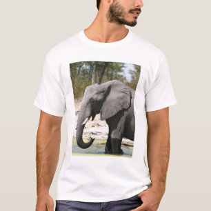 Elefant (Loxodonta africana), Savute-Kanal T-Shirt