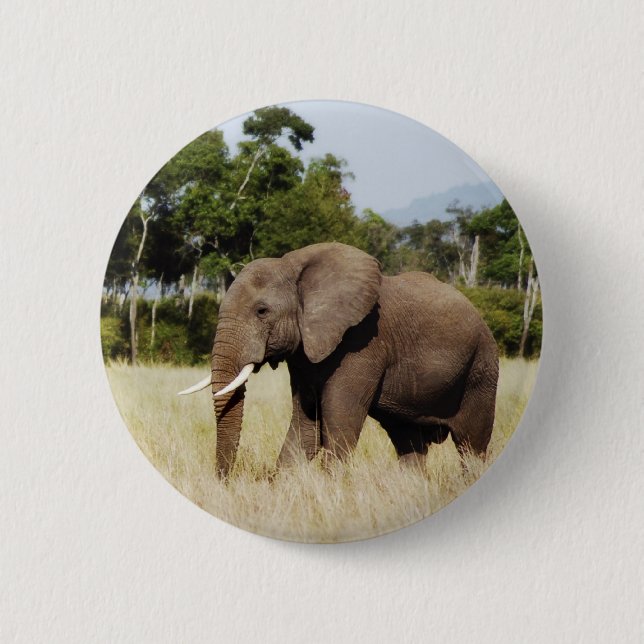 Elefant-Masai Mara, Kenia Abzeichenknopf Button (Vorderseite)