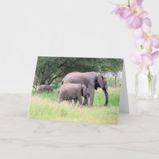 Elefant mit Calves Wildlife Baby Animals Foto Karte