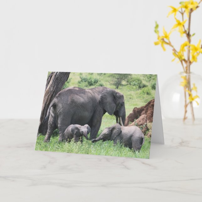 Elefant mit Calves Wildlife Baby Animals Foto Karte (Gelbe Blume)