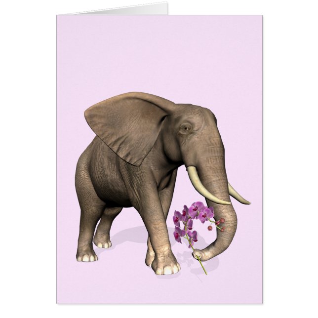 Elefant mit rosa Orchid (Vorne)