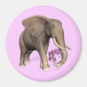 Elefant mit rosa Orchid Magnet