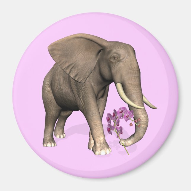 Elefant mit rosa Orchid Magnet (Vorne)